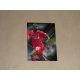 2014 Topps Premier Gold Soccer New Signings #NS-MB Mario Balotelli