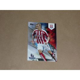 2014 Topps Premier Gold Soccer #112 Glenn Whelan