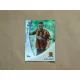 2013-14 Topps Premier Gold Soccer Hot Shots Green #HS-RB Robbie Brady