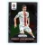 2016 Panini Panini Uefa Euro Prizm Base #138 Robert Lewandowski