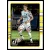 2016 Donruss  #192 Fernandao