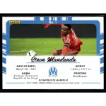 2016 Donruss Picture Perfect  #1 Steve Mandanda