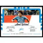 2016 Donruss Picture Perfect  #5 Axel Witsel