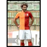 2015 Topps UEFA Champions League Showcase  #70 Hamit Altintop