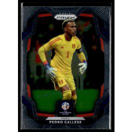 2024 Panini Prizm Copa America  #91 Pedro Gallese 