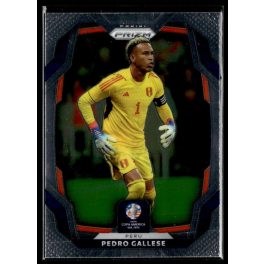 2024 Panini Prizm Copa America  #91 Pedro Gallese 
