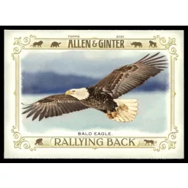   2021-22 Topps Allen and Ginter Rallying Back #RB-3 Bald Eagle
