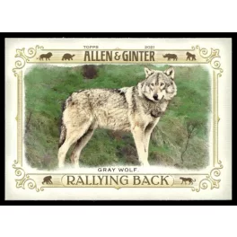 2021-22 Topps Allen and Ginter Rallying Back #RB-1 Gray Wolf