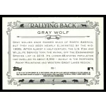 2021-22 Topps Allen and Ginter Rallying Back #RB-1 Gray Wolf