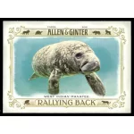 2021-22 Topps Allen and Ginter Rallying Back #RB-10 West Indian Manatee
