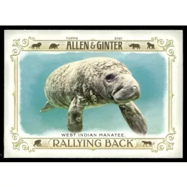   2021-22 Topps Allen and Ginter Rallying Back #RB-10 West Indian Manatee