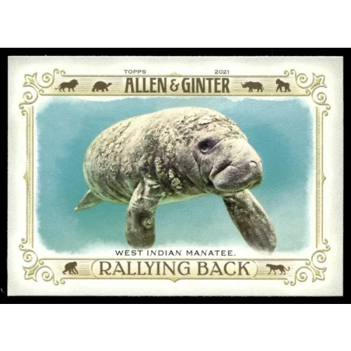 2021-22 Topps Allen and Ginter Rallying Back #RB-10 West Indian Manatee
