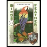 2021-22 Topps Allen and Ginter Birds of a Feather #BOF-3 Scarlet Macaw