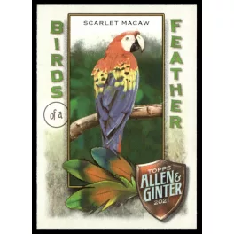   2021-22 Topps Allen and Ginter Birds of a Feather #BOF-3 Scarlet Macaw