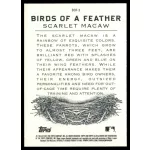 2021-22 Topps Allen and Ginter Birds of a Feather #BOF-3 Scarlet Macaw
