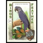 2021-22 Topps Allen and Ginter Birds of a Feather #BOF-6 Hyacinth Macaw
