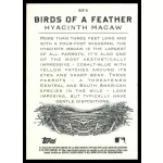 2021-22 Topps Allen and Ginter Birds of a Feather #BOF-6 Hyacinth Macaw