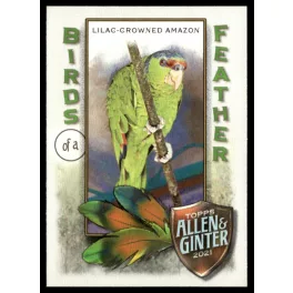   2021-22 Topps Allen and Ginter Birds of a Feather #BOF-5 Lilac-Crowned Amazon