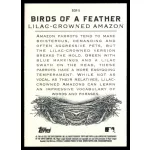 2021-22 Topps Allen and Ginter Birds of a Feather #BOF-5 Lilac-Crowned Amazon