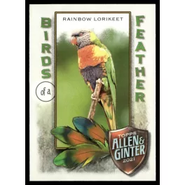   2021-22 Topps Allen and Ginter Birds of a Feather #BOF-10 Rainbow Lorikeet