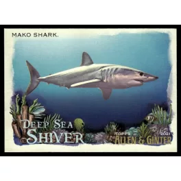   2021-22 Topps Allen and Ginte Deep Sea Shiver  #DSS-3 Mako Shark