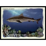 2021-22 Topps Allen and Ginte Deep Sea Shiver  #DSS-4 Tiger Shark