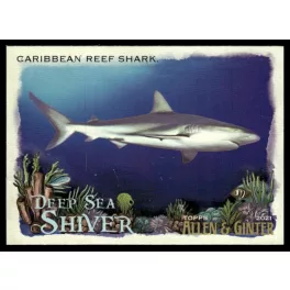   2021-22 Topps Allen & Ginter Deep Sea Shiver  #DSS-13 Caribbean Reef Shark