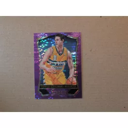 2013-14 Select Prizms Purple #103 Danilo Gallinari
