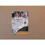 2004-05 Upper Deck Rookie Review #MP Mickael Pietrus