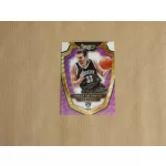 2014-15 Select Prizms Purple and White #103 Mirza Teletovic PRE