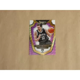   2014-15 Select Prizms Purple and White #103 Mirza Teletovic PRE
