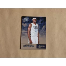 2012-13 Absolute #11 Brendan Haywood