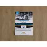 2012-13 Absolute #29 Hakim Warrick