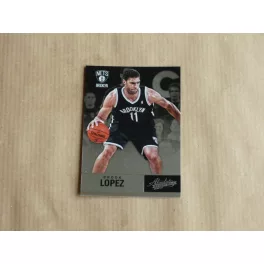 2012-13 Absolute #49 Brook Lopez