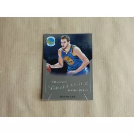 2012-13 Panini Brilliance #71 David Lee