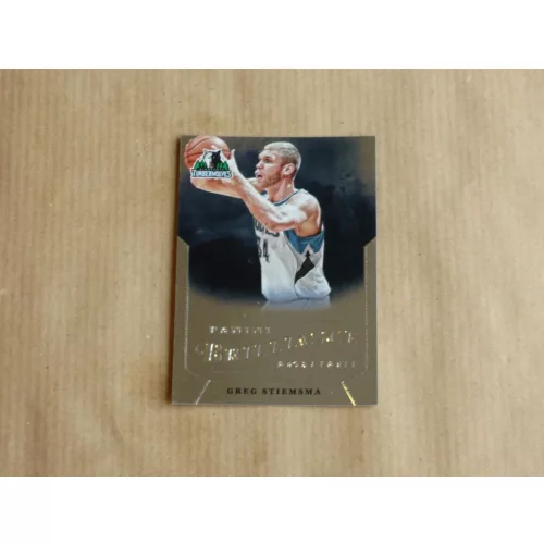2012-13 Panini Brilliance #233 Greg Stiemsma RC