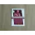 2013-14 Panini Prizm #107 Shane Battier