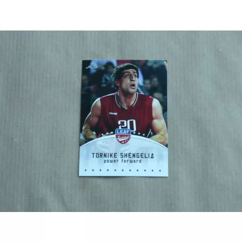 2012-13 Leaf #TS1 Tornike Shengelia