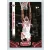 2014-15 Panini Threads Base #33 Corey Brewer