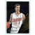 2014-15 Panini Prestige Plus Franchise Favorites #24 Goran Dragic