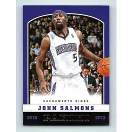 2012-13 Panini Basketball Base #84 John Salmons
