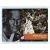 2016-17 Aficionado Basketball Base #87 Thon Maker RC