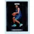 2017-18 Prizm Basketball Base #236 Nicolas Batum