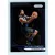 2018-19 Panini Prizm  # 249 Wilson Chandler