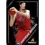 2013-14 Pinnacle  #257 Gheorghe Muresan