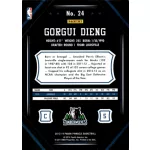 2013-14 Pinnacle  #24 Gorgui Dieng
