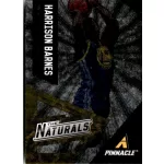 2013-14 Pinnacle The Naturals #193 Harrison Barnes