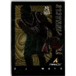2013-14 Pinnacle Team Pinnacle  #10 Mayo/DeMar DeRozan