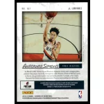 2018-19 Panini Chronicles Luminance #167 Anfernee Simons