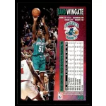 1994-95 Fleer  #28 David Wingate